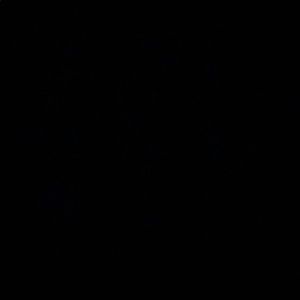 Meet your Posher, Dylan